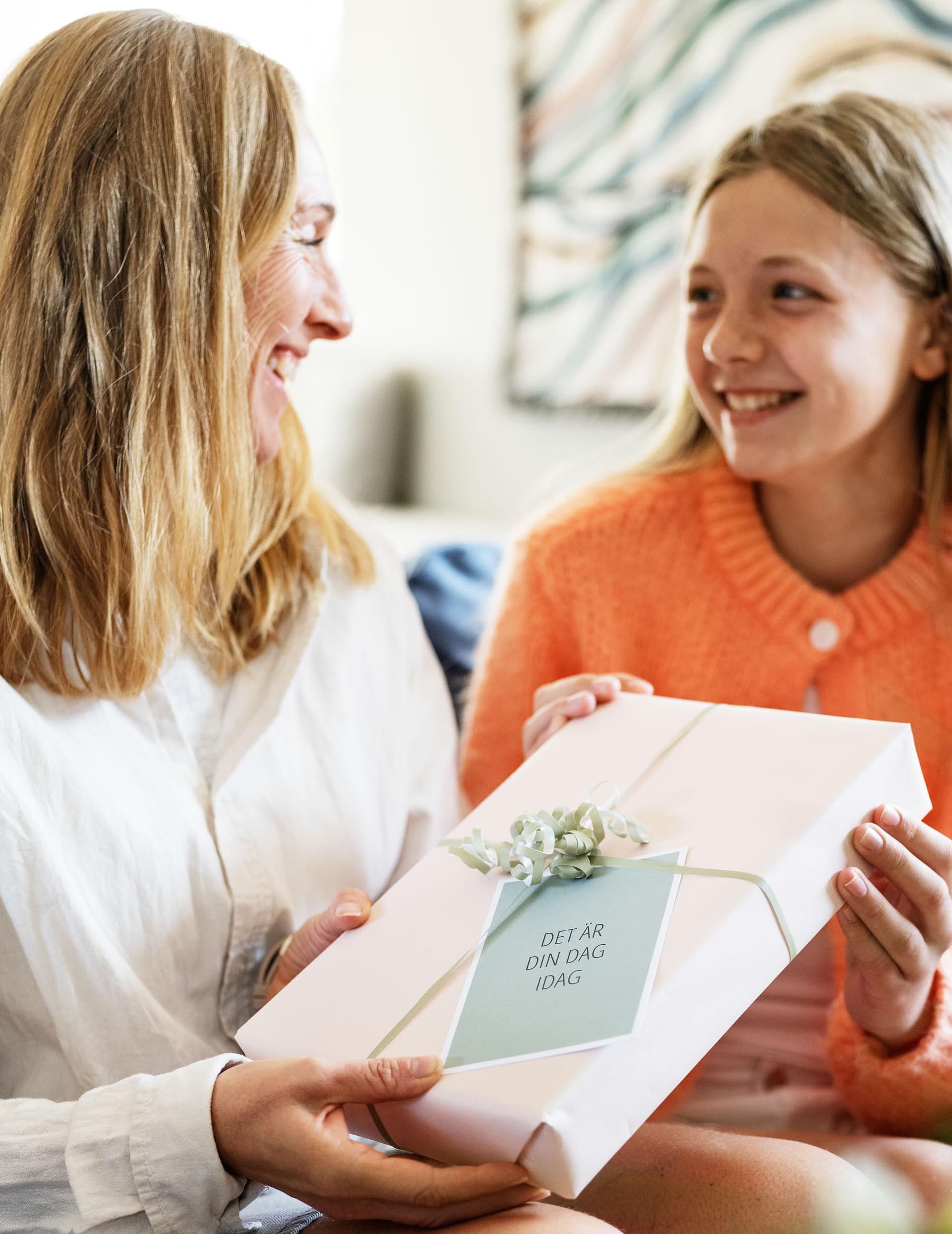 Tillkassan produkter